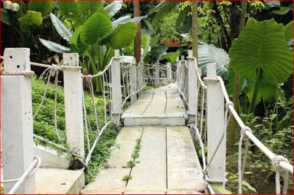 Rai Preda Homestay Ao Luk Exteriér fotografie